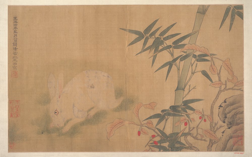 Rabbit (album leaf) by Qing Dynasty Chinese School