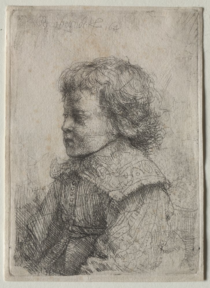 Portrait of a Boy in Profile by Rembrandt Harmensz. van Rijn