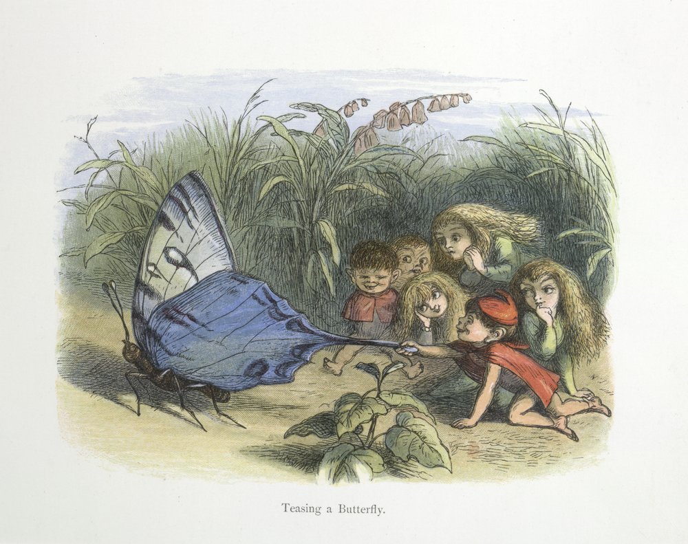 Teasing a Butterfly by Richard Doyle