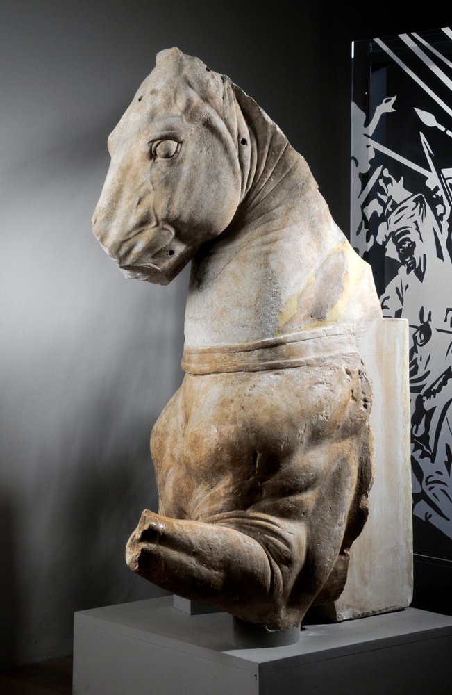 Front part of a horse by Roman