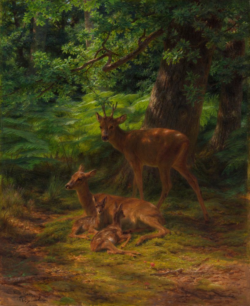 Deer in Repose, 1867 by Rosa Bonheur