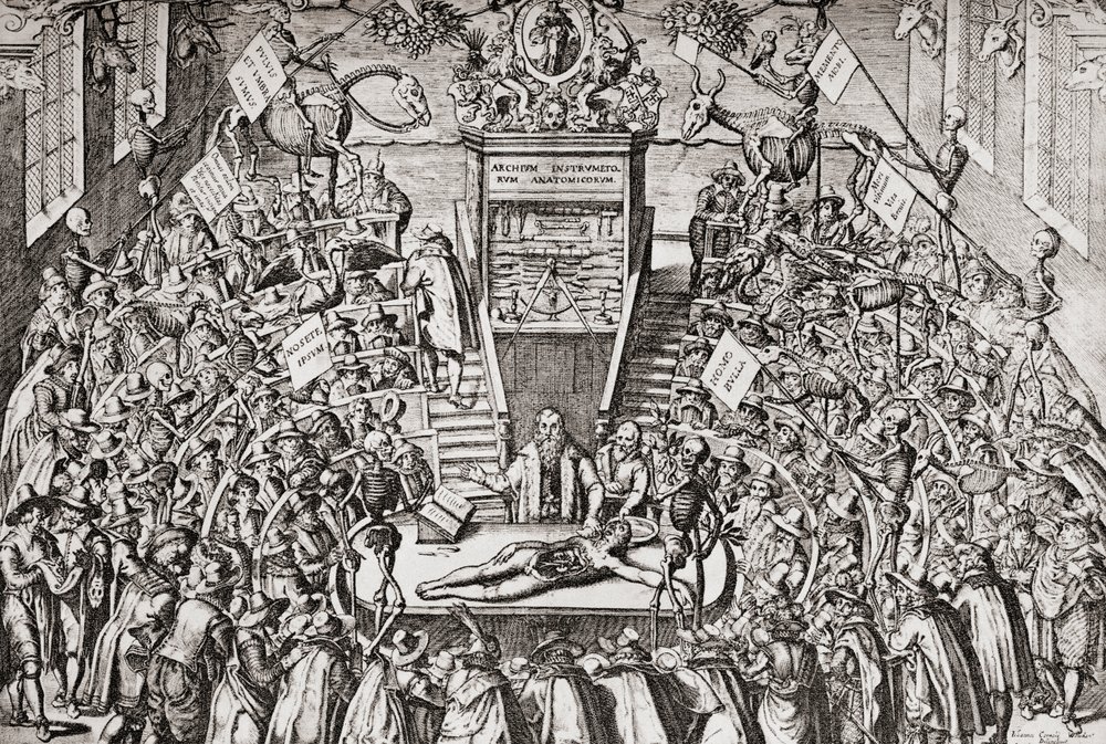 Students Attending an Anatomy Class at Leiden University by School Netherlandish