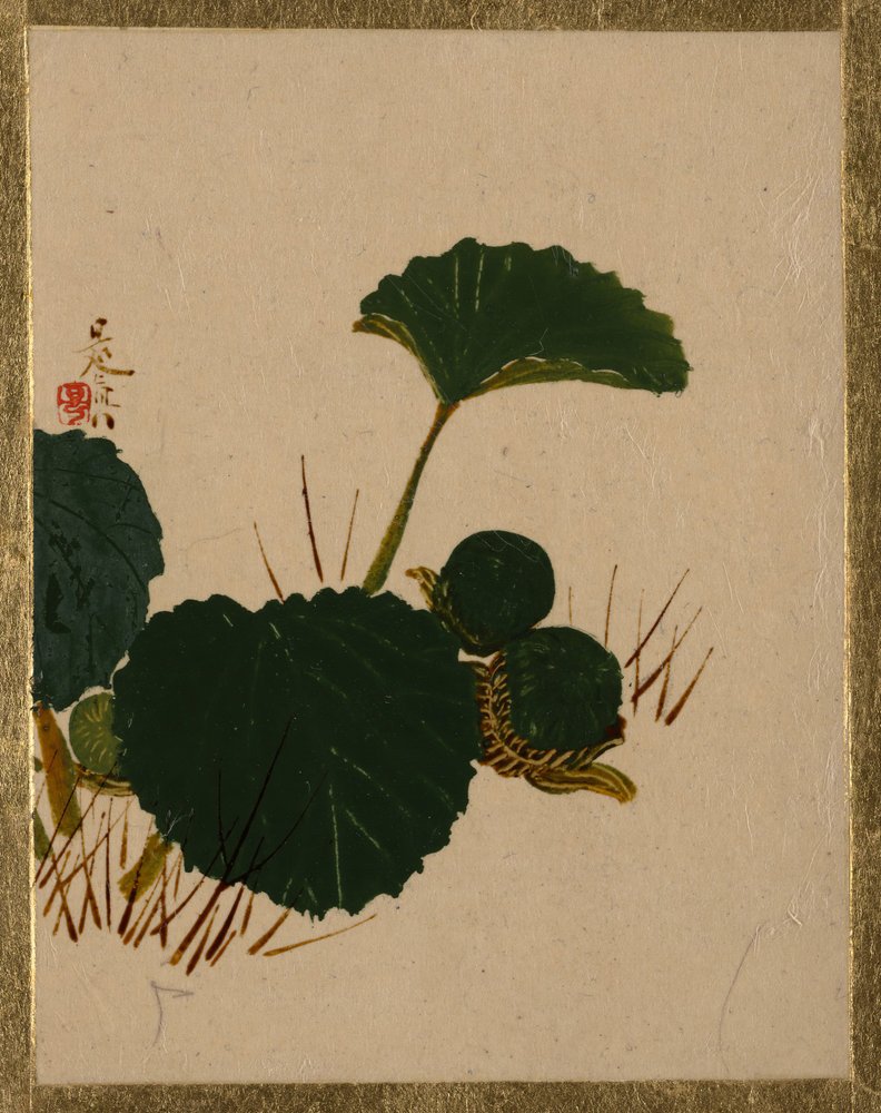 Worm on Green Leaved Plant by Shibata Zeshin