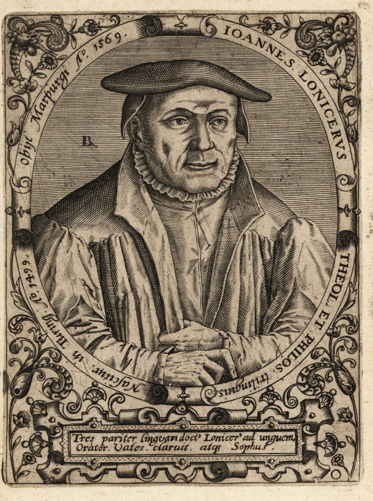 Johann Lonitzer by Theodore de Bry: Premium art reproduction