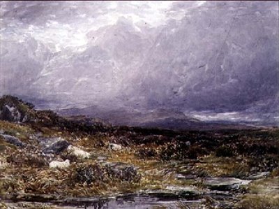 On the Siabod Flats, North Wales by Thomas Collier