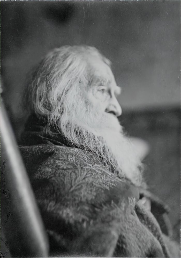 Walt Whitman in Camden, N.J. by Thomas Eakins