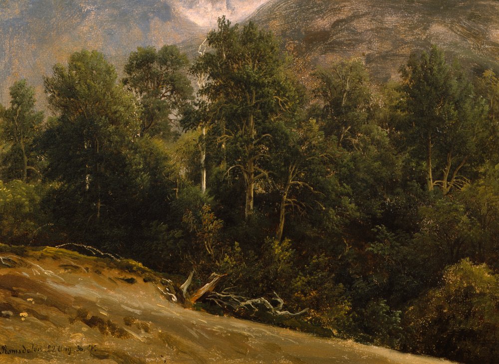 Forest in Romsdal by Thomas Fearnley