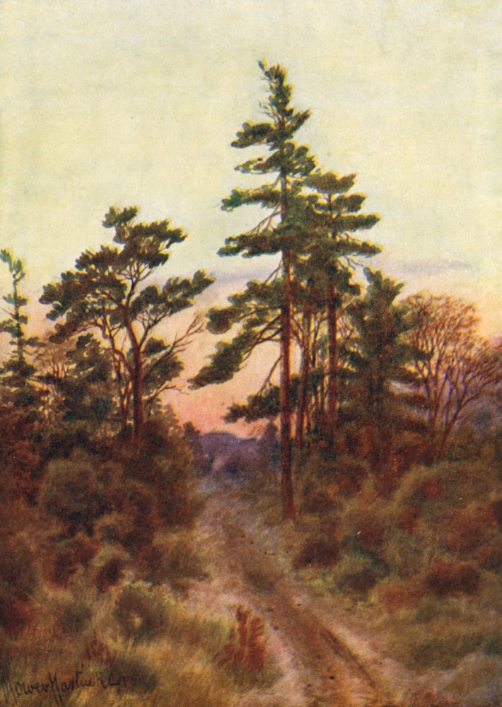 Road near Victoria, Evening by Thomas Mower Martin