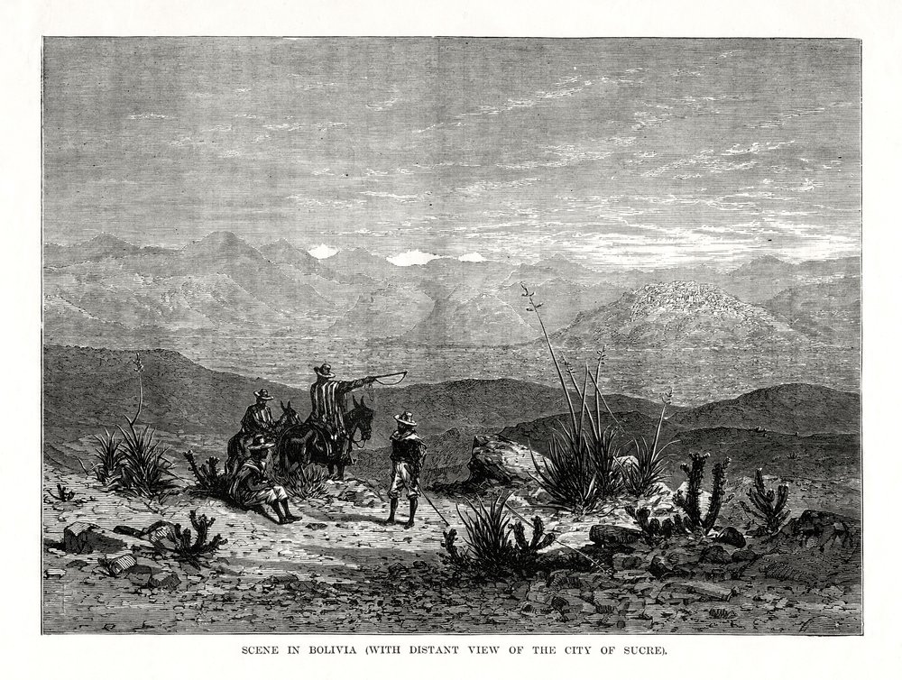 Scene in Bolivia, 1877 by Unbekannt