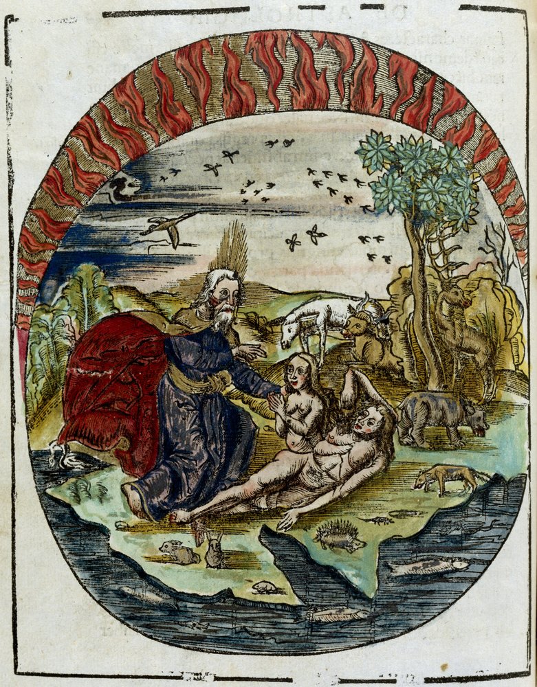 The Birth of Eve 16th Century: God Creating Eve from Adam's Rib in the ...
