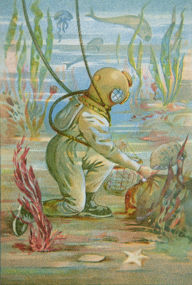 Deep Sea Diver Art Deep Sea Diver Print | Emily Arenberg Art