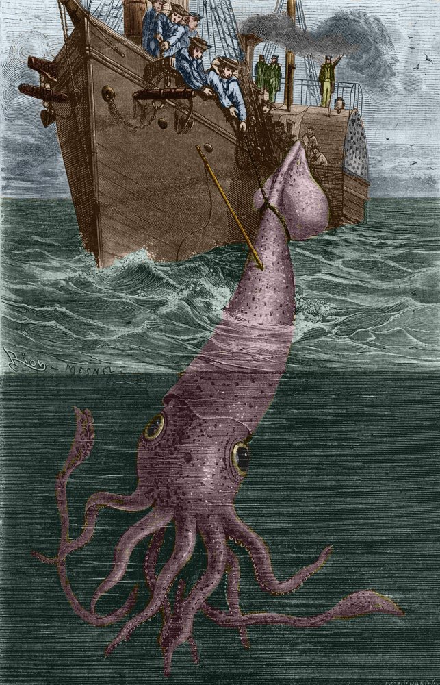 ボール Squid 18 INCH BULB SQUID - Fisherman's Outfitter