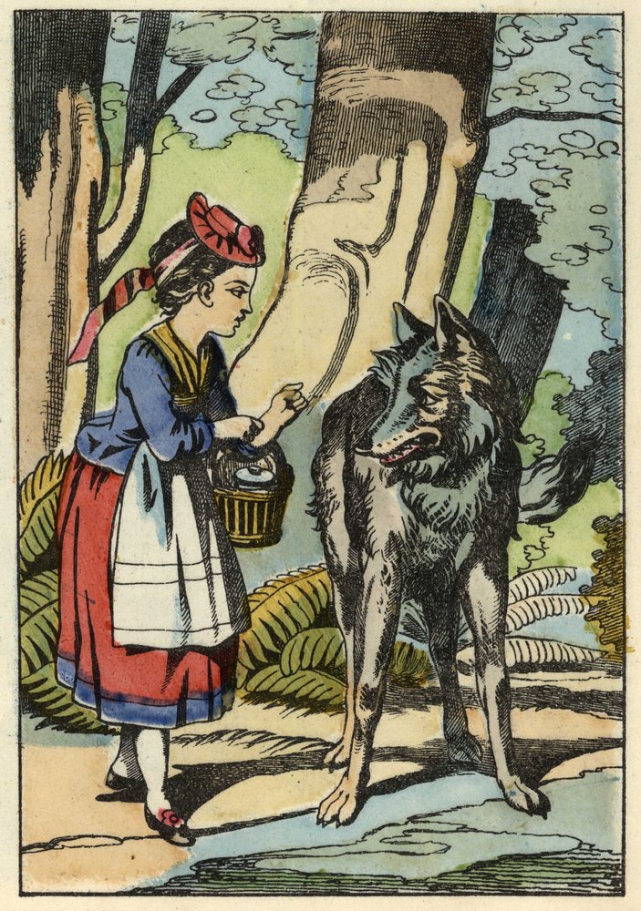 Little Red Riding Hood meets the wolf in the forest. Illustration of ...