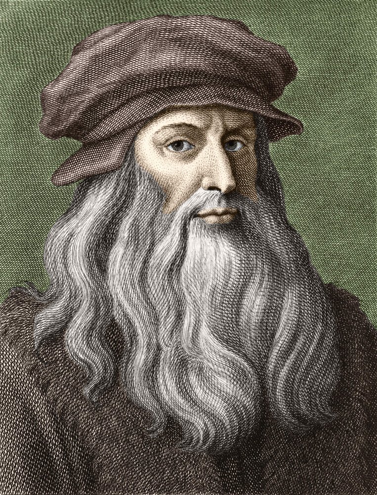 Leonard da vinci 絵画 Seven Grotesque Heads by Leonardo da Vinci: Fine art print