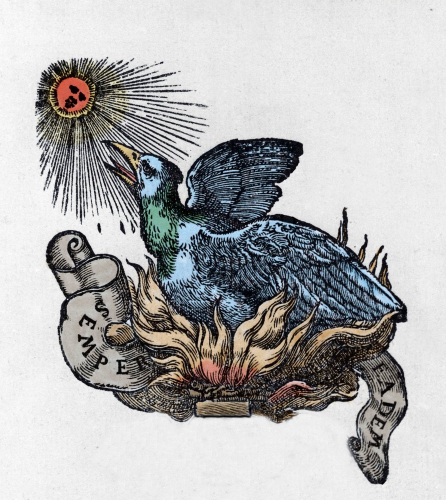 Representation of a Phoenix, Legendary Bird Reborn from Its Ashes. Engraving of the 19th Century by Unknown artist