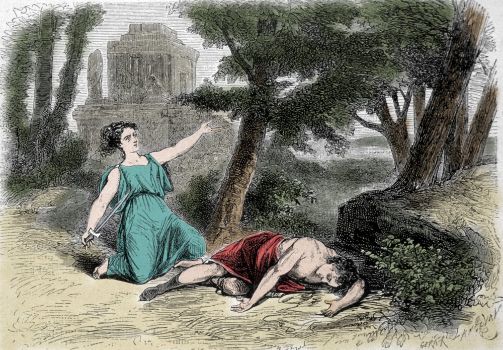 Pyramus And Thisbe Mulberry Tree Mulberry Tree: History, Properties,