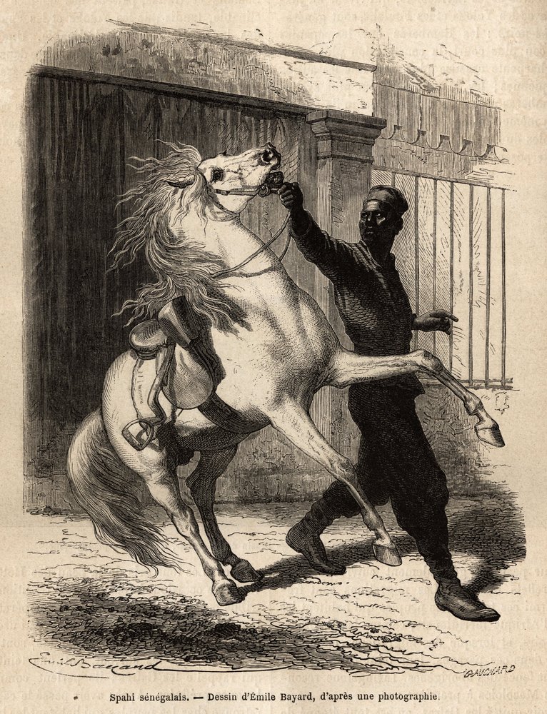 A Senegalese spahi (cavalier) in Saint-Louis. Engraving to illustrate a ...