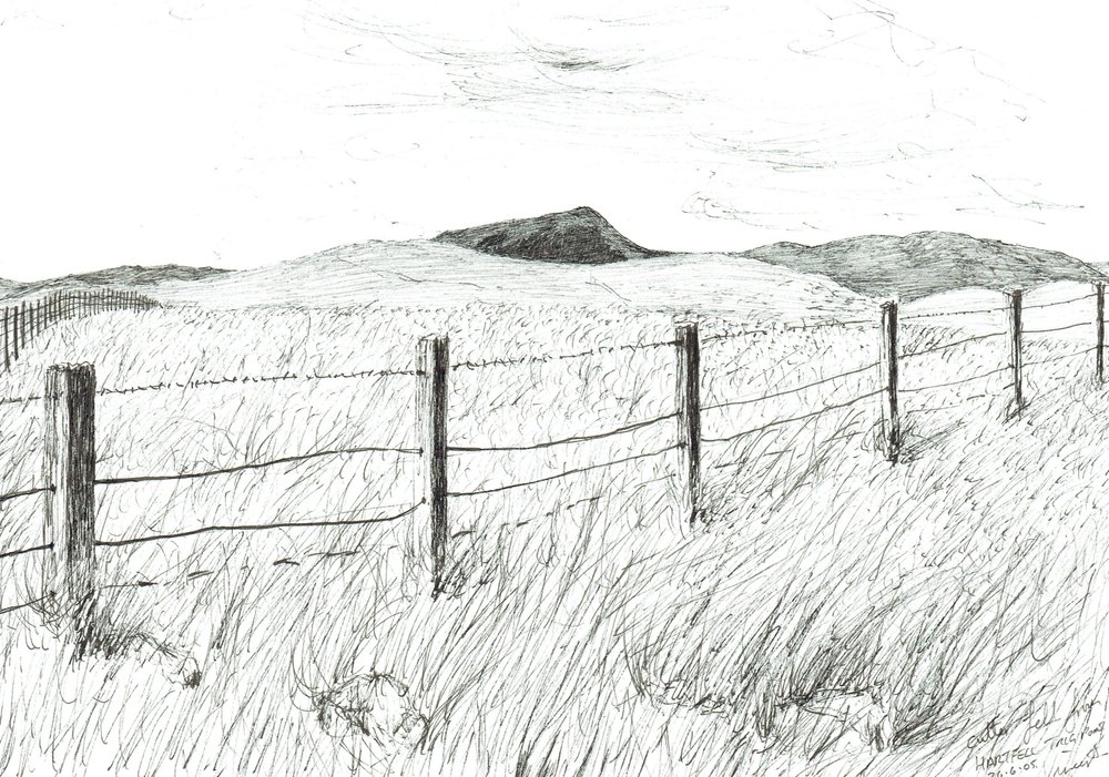 Culter Fell from Hartfell by Vincent Alexander Booth