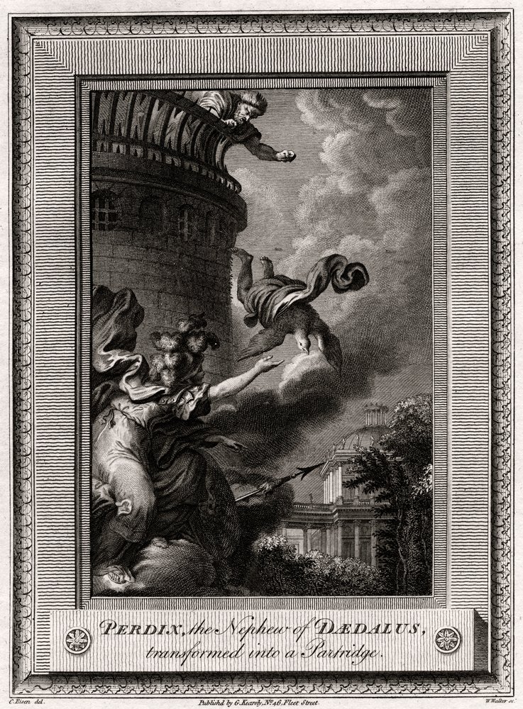 Perdix, the Nephew of Daedalus, transformed into a Partridge, 1774 by W. Walker