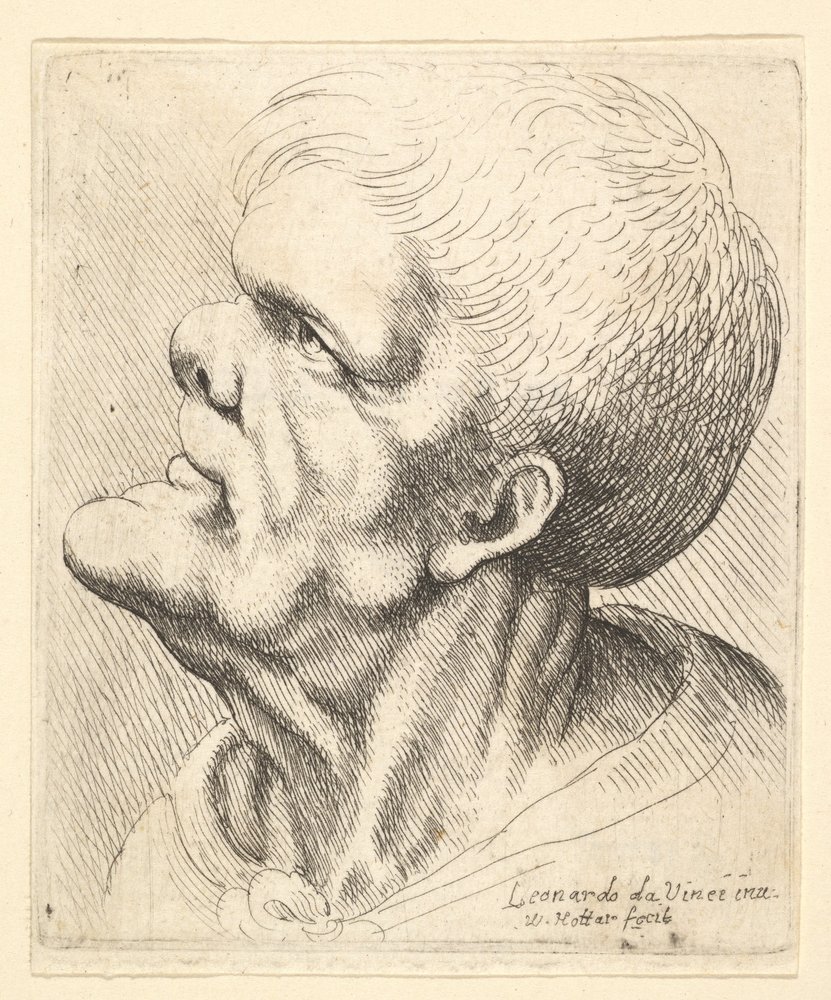 Head of a Man with Protruding Chin and Snub Nose Looking Upwards in Profile to Left by Wenceslaus Hollar
