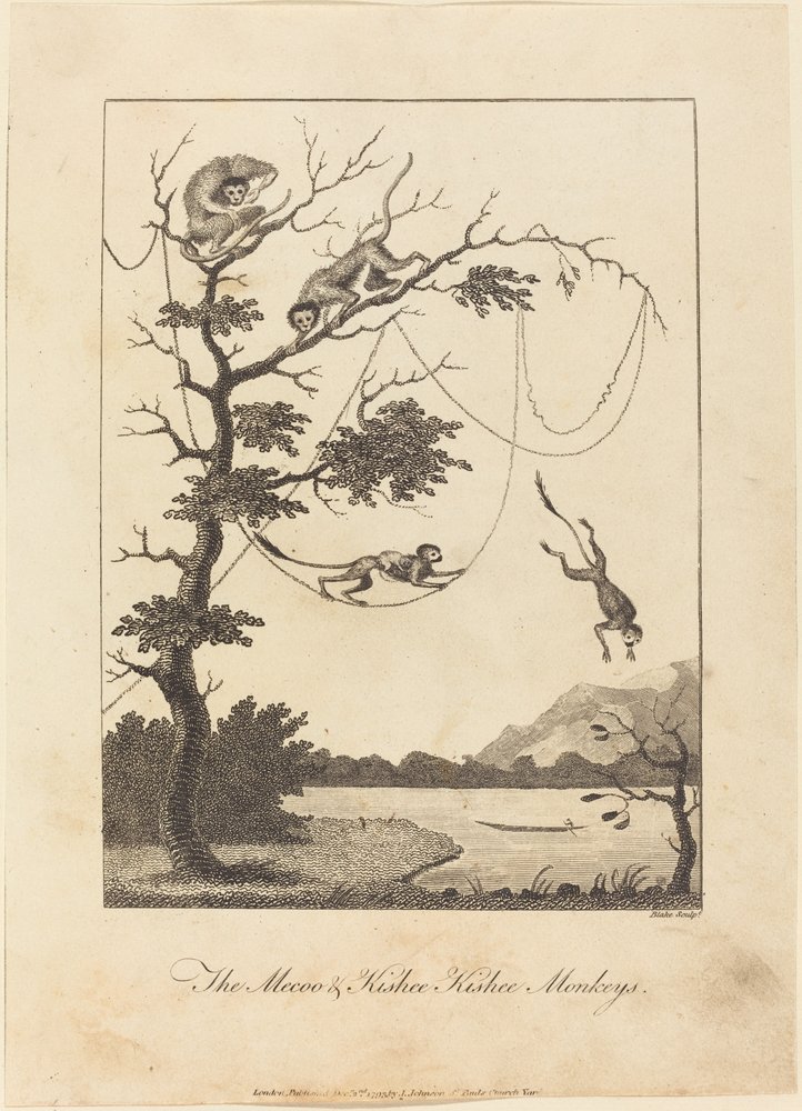 The Mecoo & Kisbee Kishee Monkeys by William Blake
