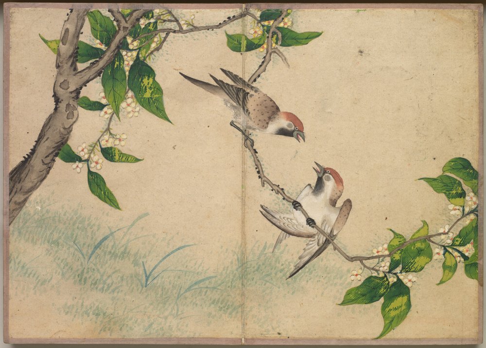 Desk Album: Flower and Bird Paintings Gossiping Sparrows by Zhang Ruoai