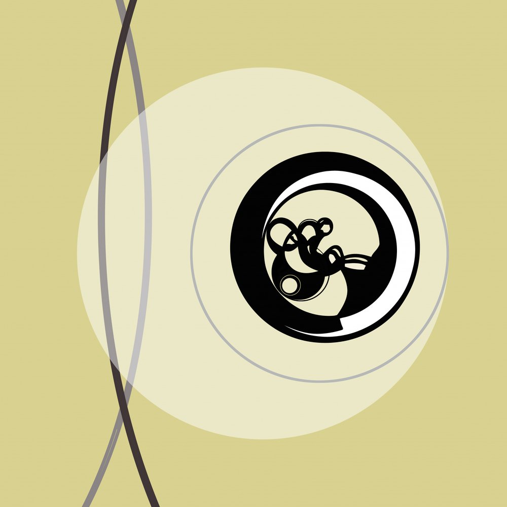 Abstract Swirl Circles by Alejandra Winkhaus