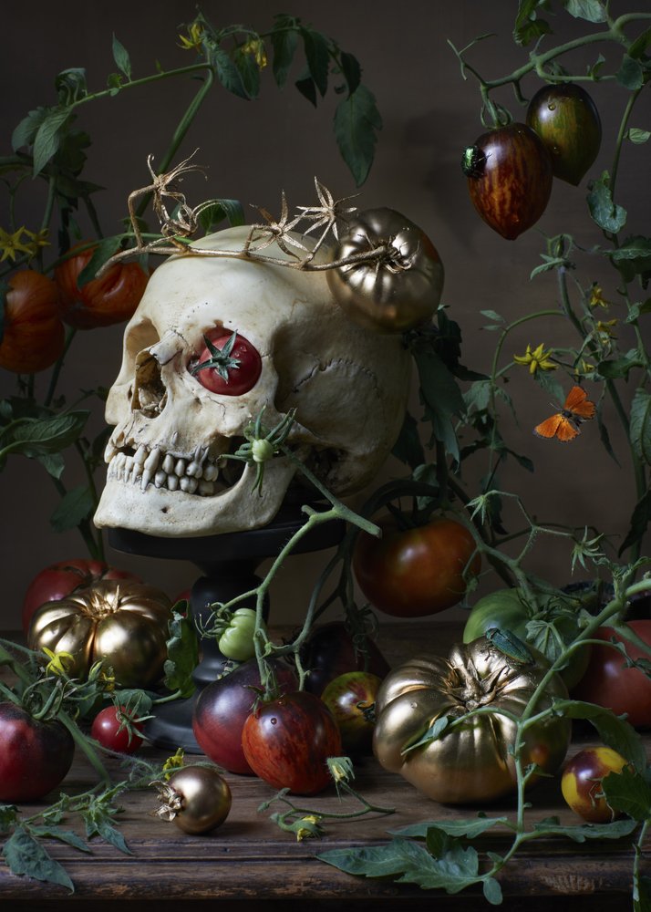 Golden Skull Harvest by Alena