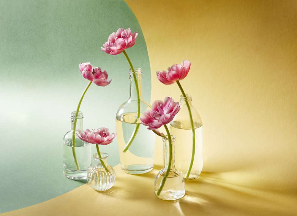 Soft Pink Tulips by Alena