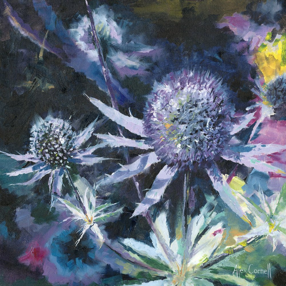 Blue Thistle Blooms by Alex Cornell: Buy fine art prints