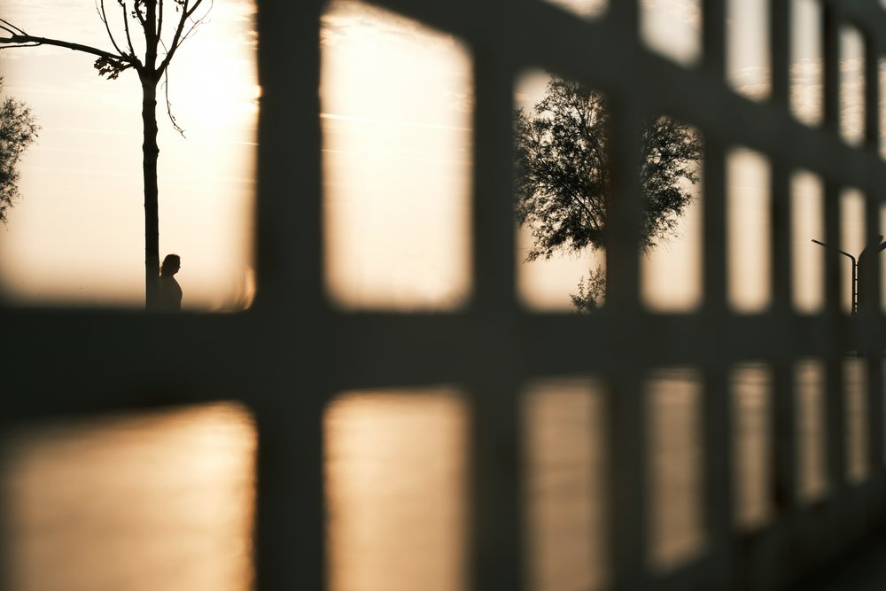 Golden Hour Silhouette by Ali Ayer