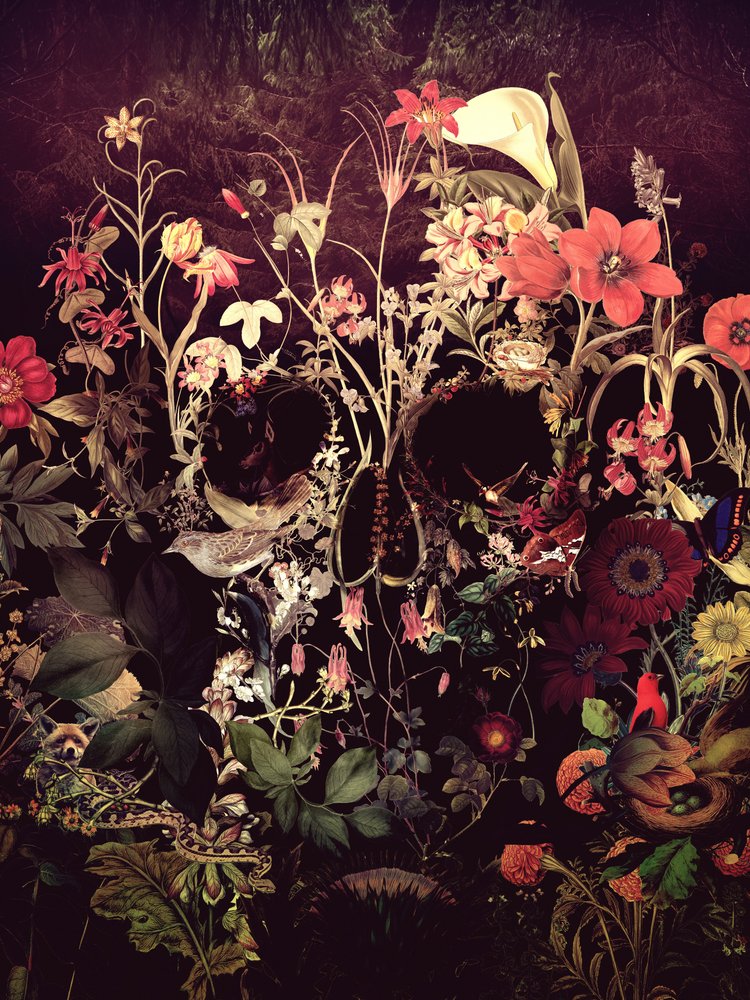Floral Skull Garden by Ali Gulec