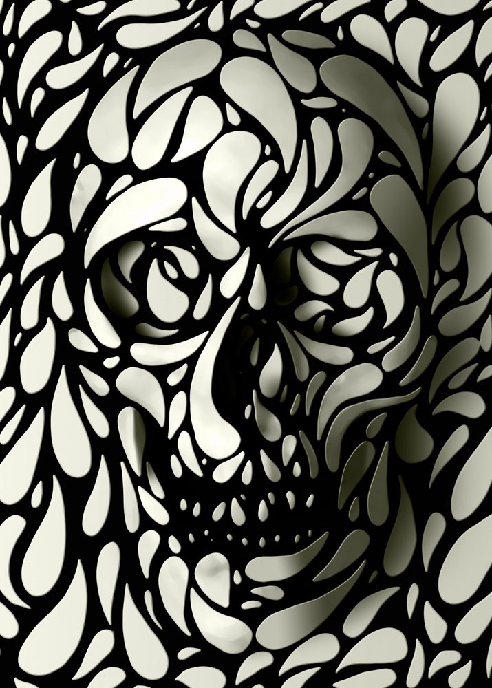 Shadow Skull Forms by Ali Gulec