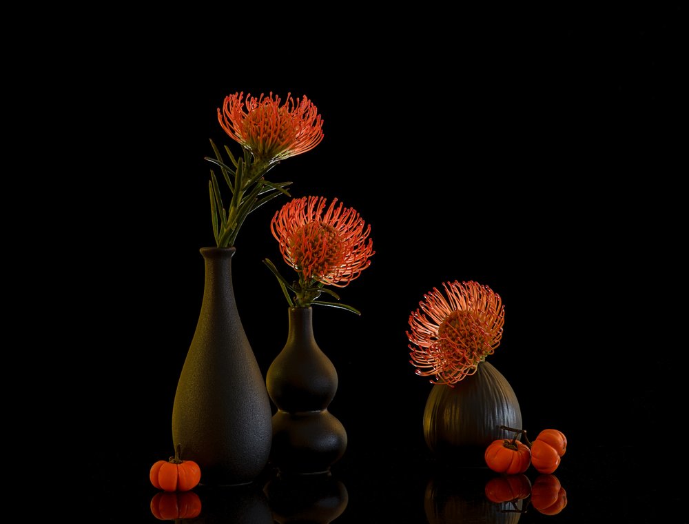 Autumn Protea Still Life by Alice Sheng
