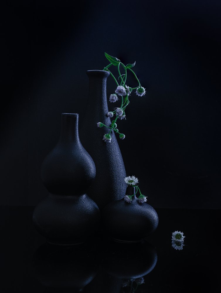 Serene Vases and Blooms by Alice Sheng