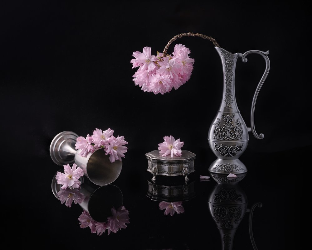 Silver And Sakura by Alice Sheng