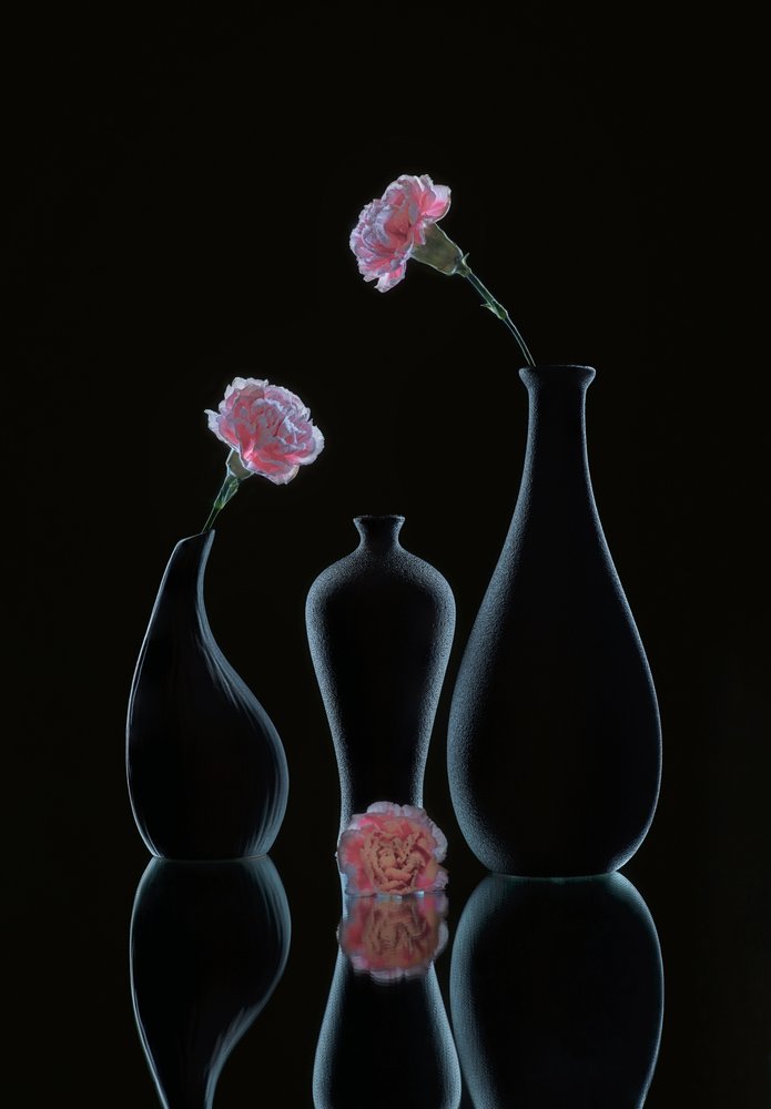 Sleek Floral Still Life by Alice Sheng