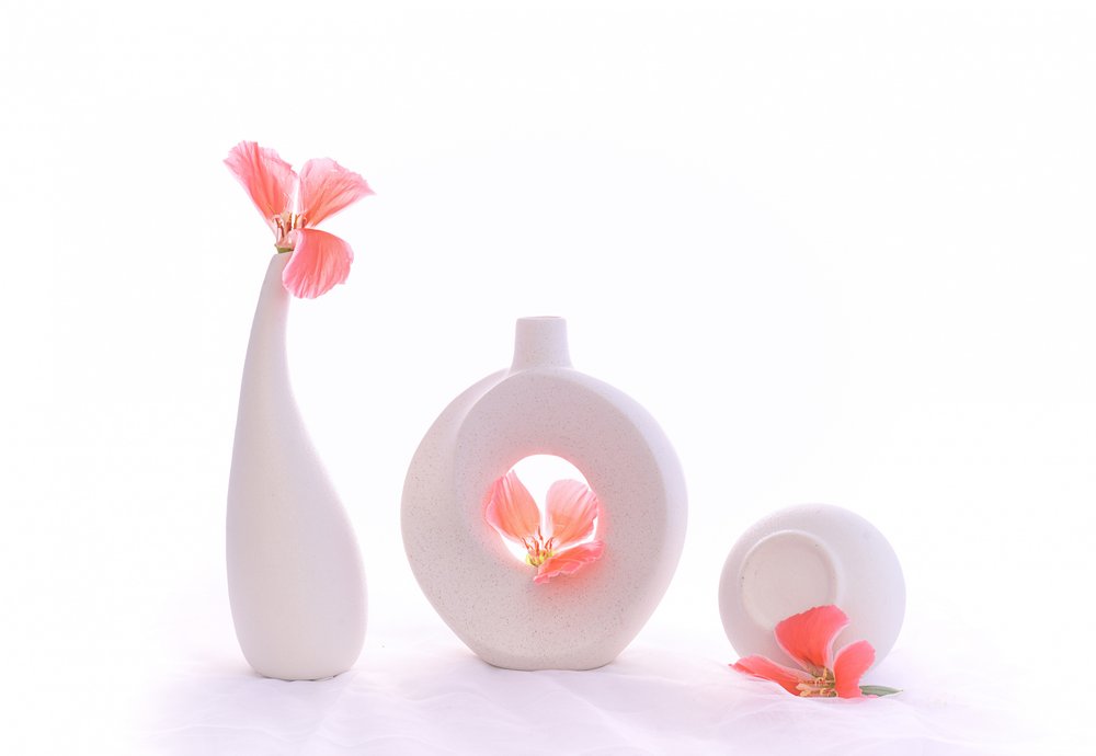 Soft Pink Still Life by Alice Sheng