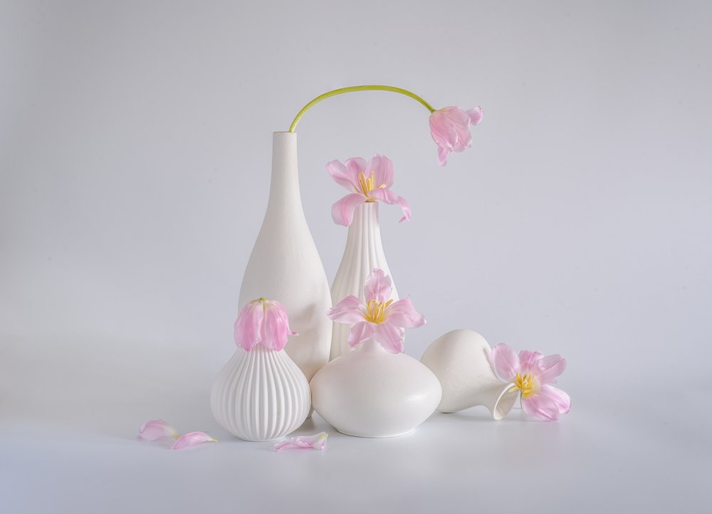 Soft Pink Tulip Still Life by Alice Sheng