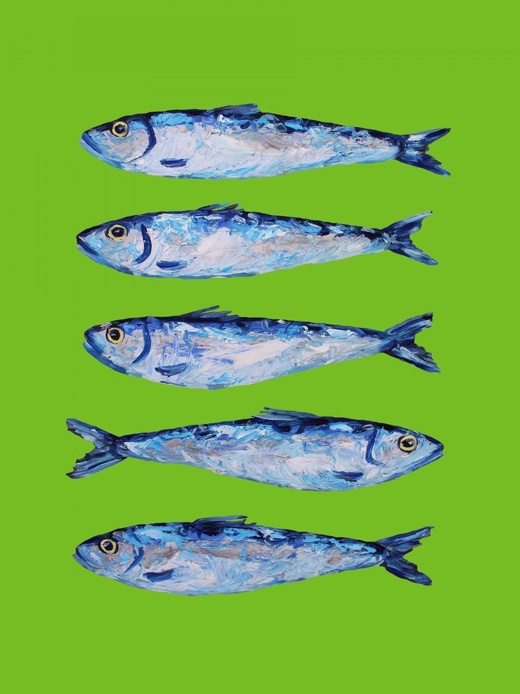 Fresh Blue Sardines by Alice Straker