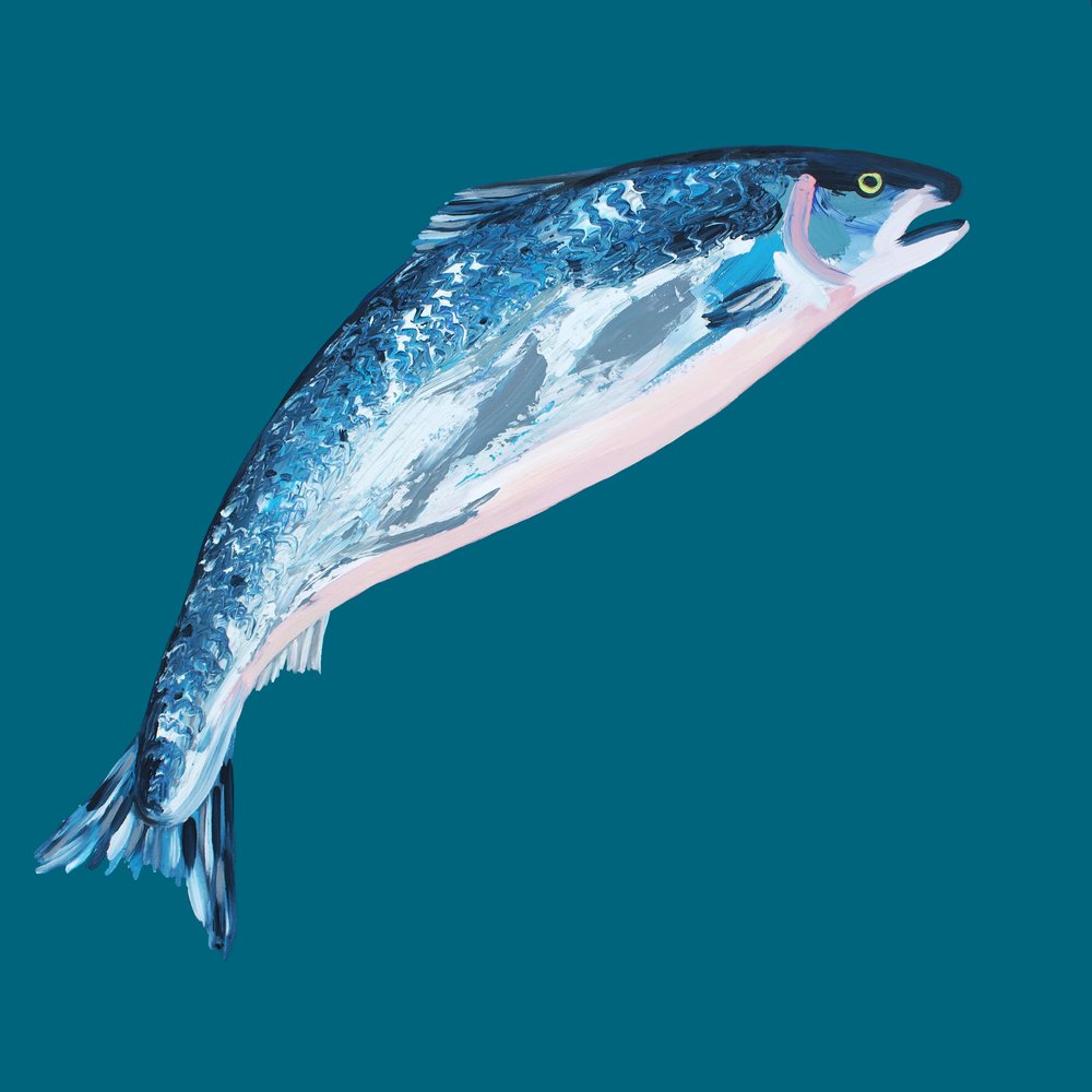 Jumping Blue Salmon by Alice Straker