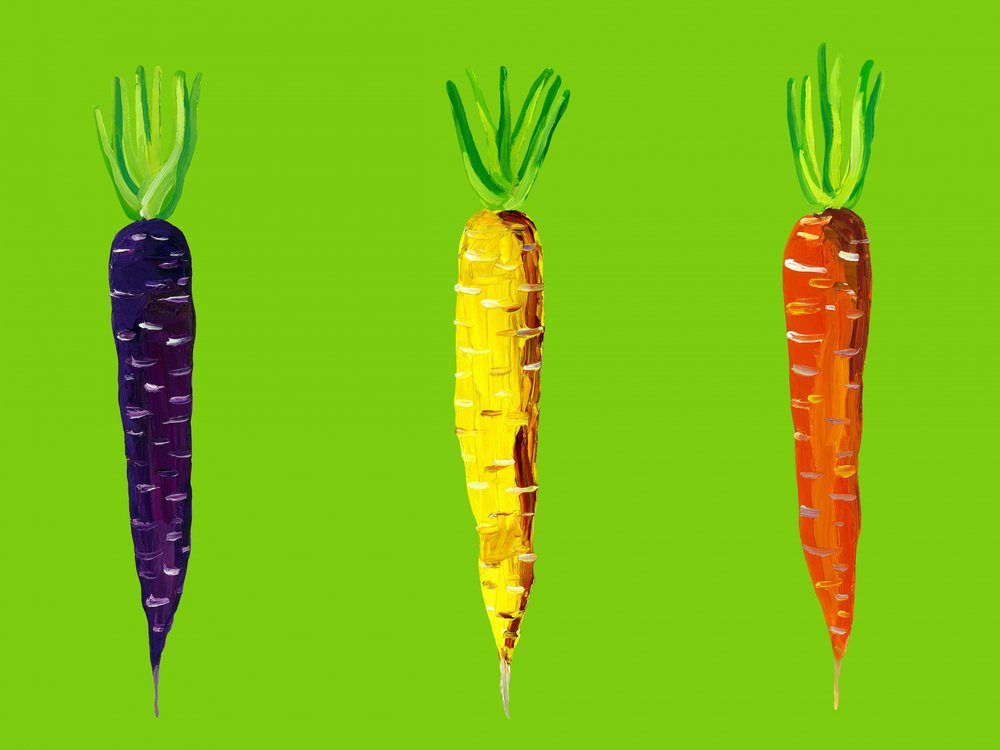 Vibrant Garden Carrots by Alice Straker