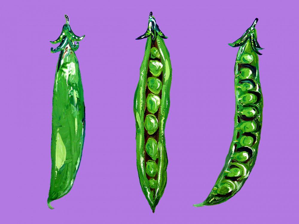 Vibrant Green Peas by Alice Straker