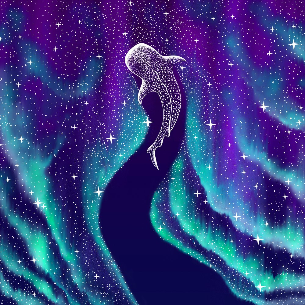 Celestial Whale Shark by Alirıza ÇAKIR