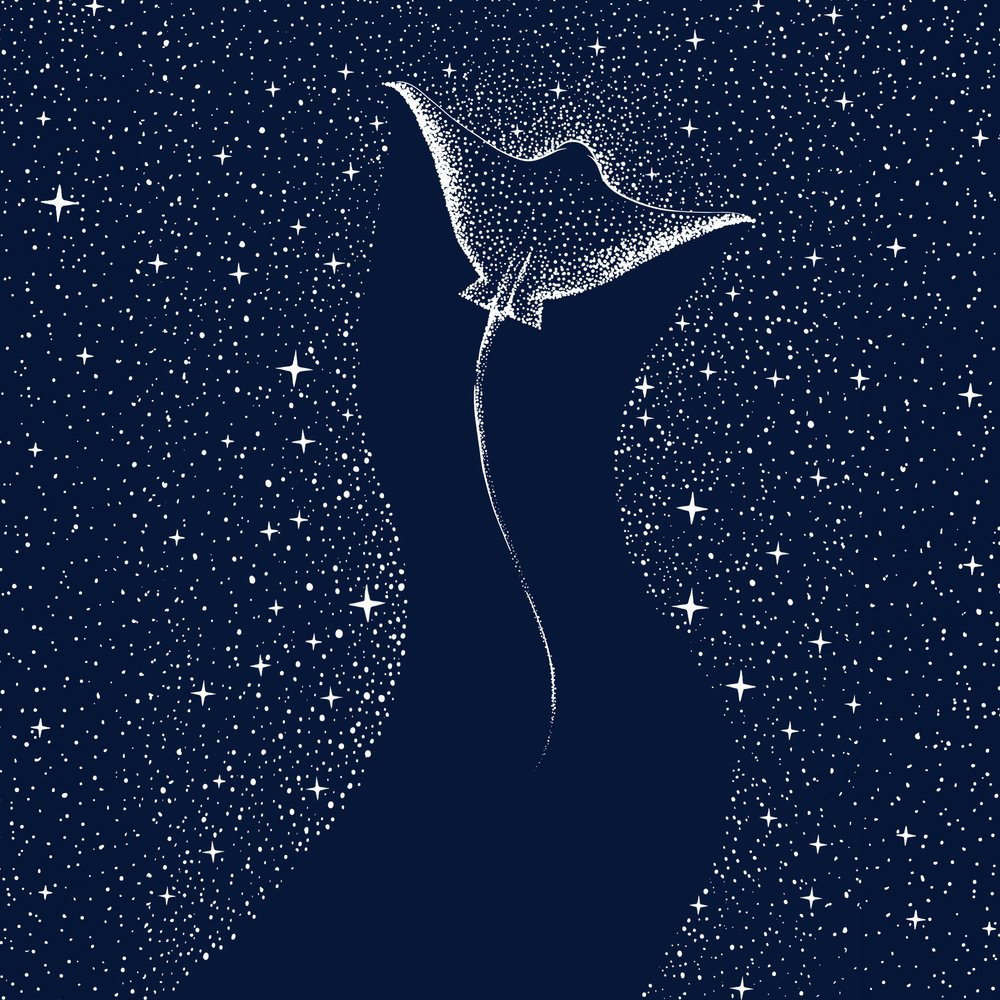 Cosmic Manta Ray by Alirıza ÇAKIR
