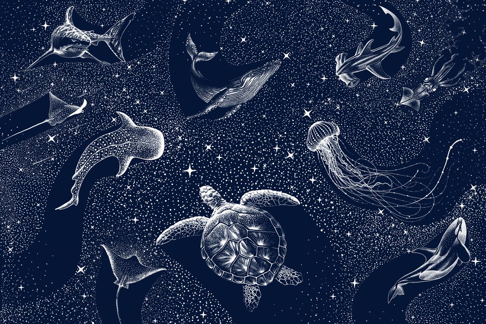 Cosmic Ocean Animals by Alirıza ÇAKIR
