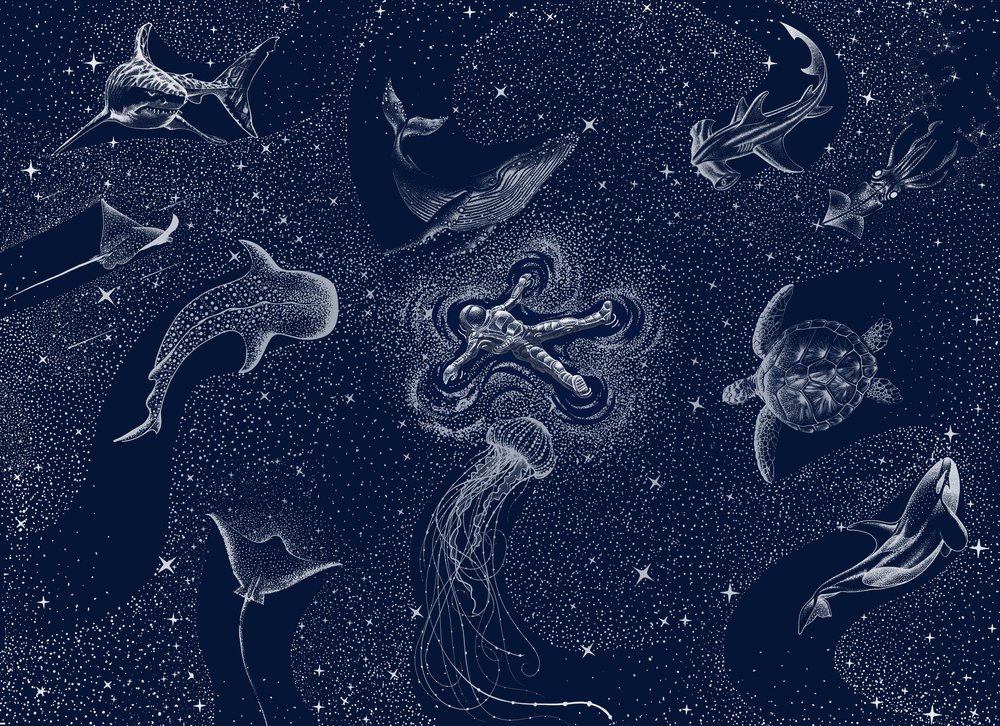 Cosmic Ocean Dream by Alirıza ÇAKIR