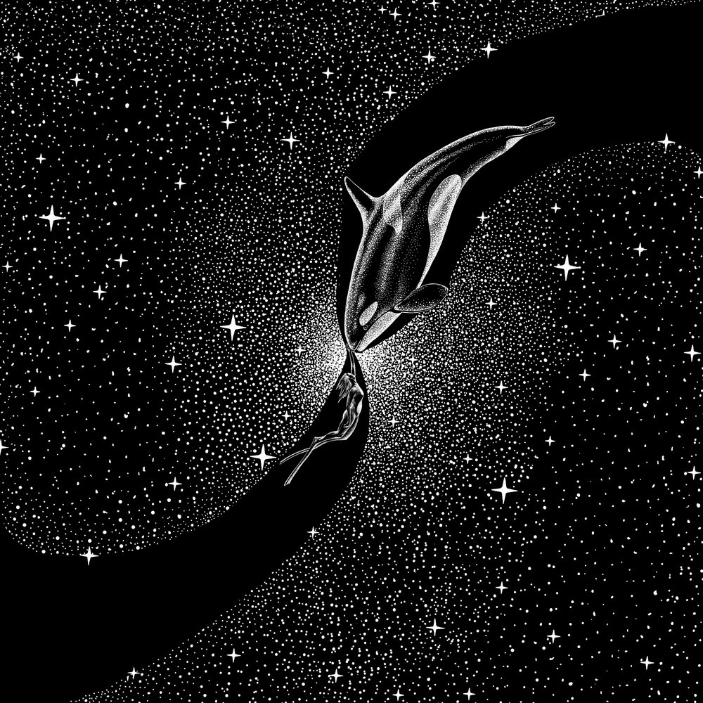 Cosmic Orca Encounter by Alirıza ÇAKIR