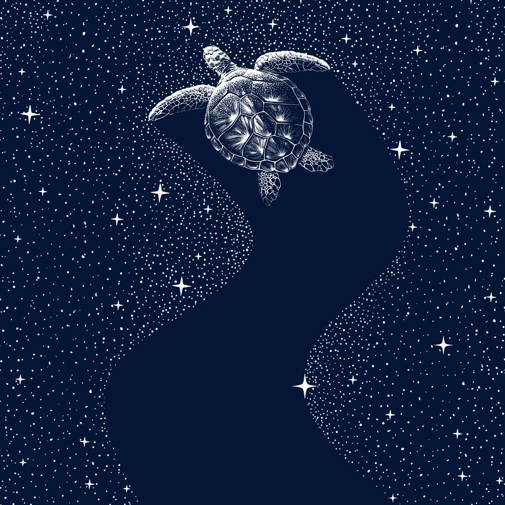 Cosmic Sea Turtle by Alirıza ÇAKIR
