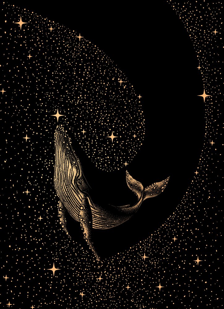 Cosmic Whale Dream by Alirıza ÇAKIR
